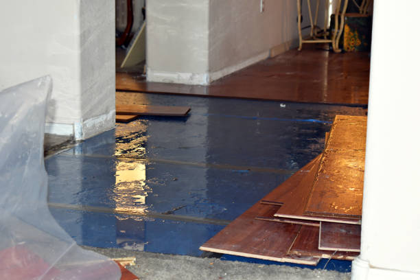 Professional Basement Flood Cleanup technician working in Defiance, MO